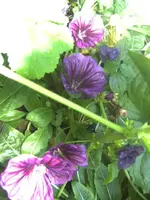BILD0762.webp
