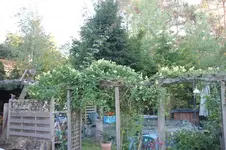 DSC07100.webp