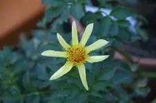 DSC07096.webp