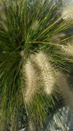 20181014_103815.webp