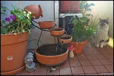 c008.webp