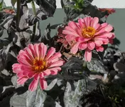 SAM_0465.webp SAM_0465.webp