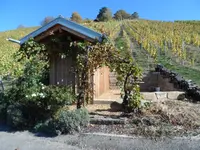 SAM_0484.webp SAM_0484.webp