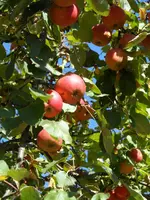 SAM_0486.webp SAM_0486.webp