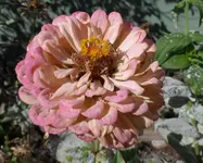 SAM_0466.webp SAM_0466.webp