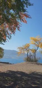 IMG-20181012-WA0003.webp