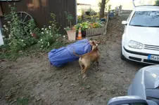 DSC07103.webp
