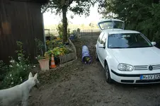 DSC07105.webp