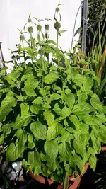 20181011_144231.jpg