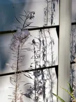 image001.webp
