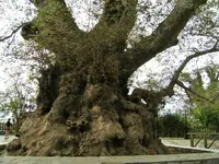 DSCF2785 (2).webp