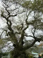 DSCF2783 (2).webp