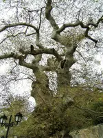 DSCF2789 (2).webp