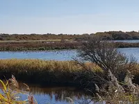 20181012_132015_resized.webp