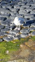 20181013_143936_resized.webp