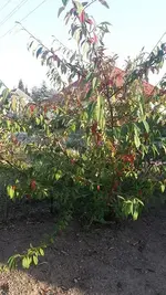 k-20181016_161711.webp