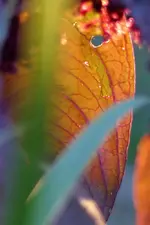 image004.webp