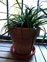 P1040804.webp