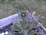 BILD0780.JPG