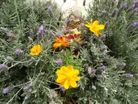 DSCF2776.webp