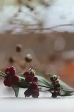 0M3A2152.webp