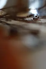 0M3A2170.webp