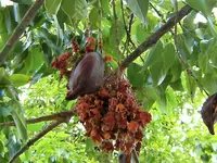 DSCF2740 (2).webp