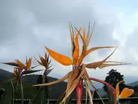 DSCF2760 (2).webp