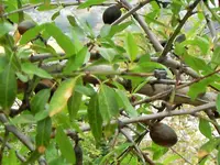 DSCF2791 (2).webp