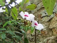 DSCF2792 (2).webp