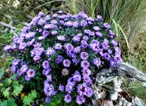 DSCF1856.webp