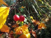 DSCF1859 (2).webp