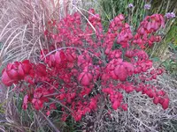 DSCF1860 (2).webp