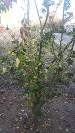 k-20181019_171406.webp
