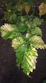 k-20181019_171432.webp