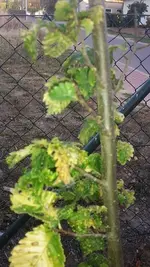 k-20181019_171453.webp