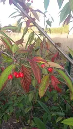 k-20181019_171511.webp