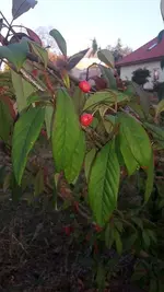 k-20181019_171541.webp