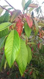 k-20181019_171552.webp