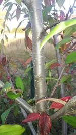 k-20181019_171613.webp