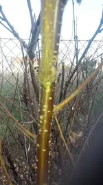 k-20181019_171756.webp