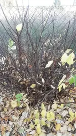 k-20181016_161847.webp