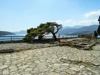 DSCF2753 (2).webp