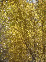 699D3D26-E14D-4A72-9FCE-9631F40C2DCD.webp