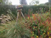 DSCF1865 (2).webp