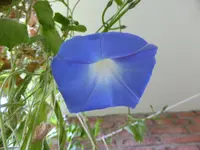 P1110145.webp