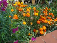 DSC03782.webp
