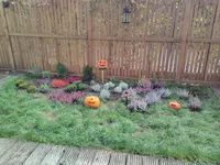 IMG_20181019_120051.webp
