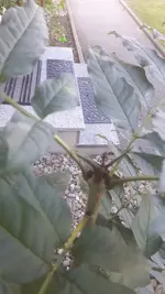 20181022_102356.webp