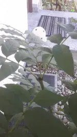 20181022_102337.webp